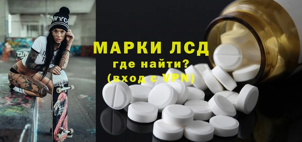 стафф Аркадак
