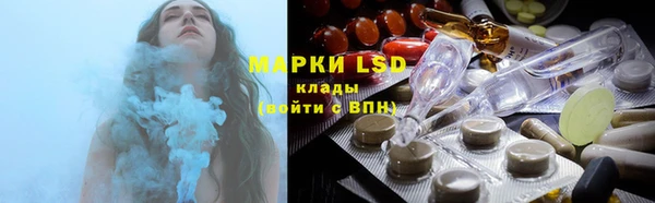 стафф Аркадак