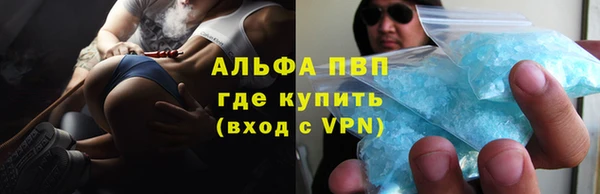 стафф Аркадак
