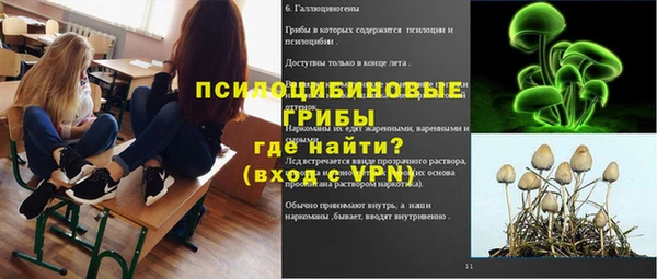 винт Арсеньев