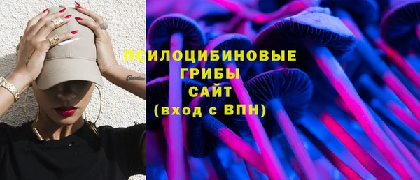 стафф Аркадак