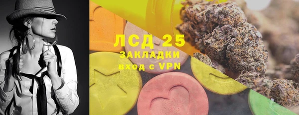 стафф Аркадак