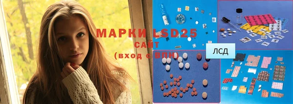 стафф Аркадак