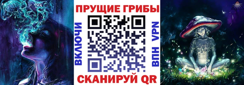 ссылка на мегу рабочий сайт  Баймак  Псилоцибиновые грибы ЛСД 